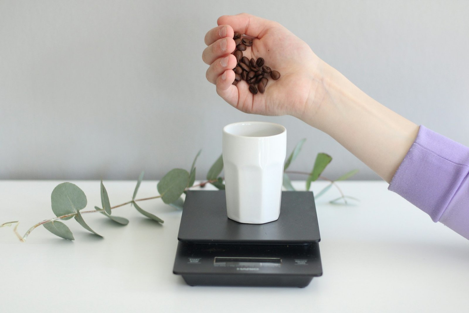 Coffee beans on a digital scale, Shot and Scale privacy policy